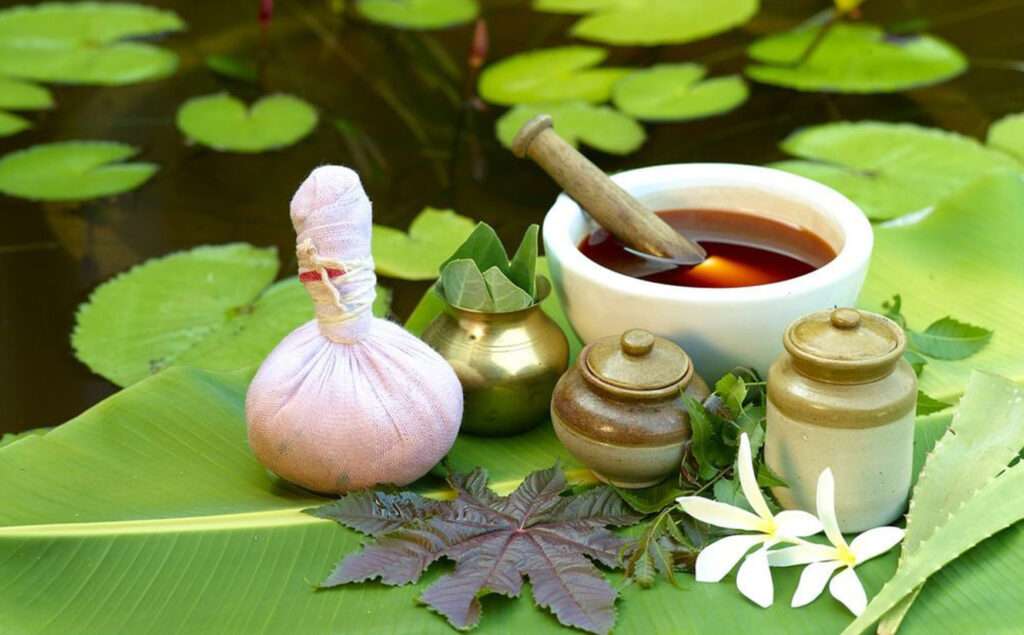 Discover holistic wellness at Kerala Ayurvedic Hospital, situated in Orthoplus Bone and Joint Center, Al Ain, UAE. Our team features the best Ayurveda doctors and experienced Indian Ayurveda doctors in Al Ain. Learn about our competitive Ayurveda doctors' fees and convenient timings.