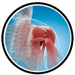 shoulder services we provide in Orthoplus Bone and Joint Center